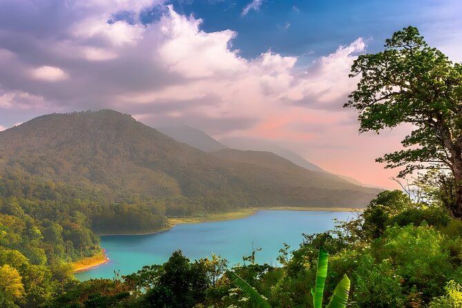 Bali Tour: Lake, Iconic Gate, Temple, Hot Spring and Rice Terrace - Transportation and Services