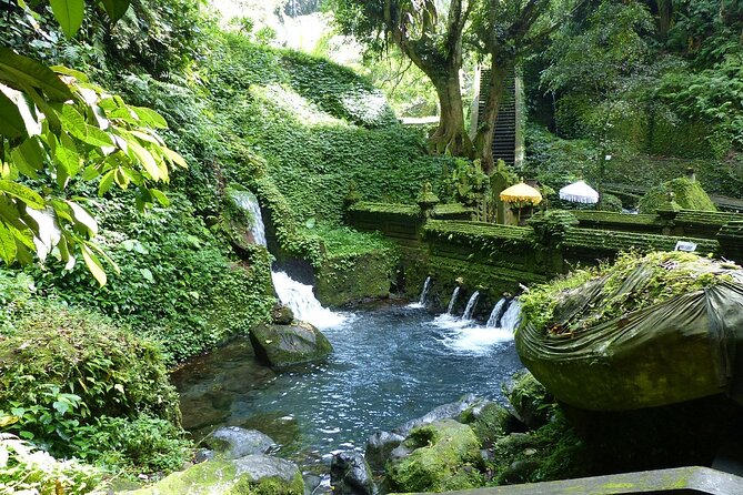 Bali Tour: Spiritual Cleansing and Shamanic Healing - Cleansing the Aura