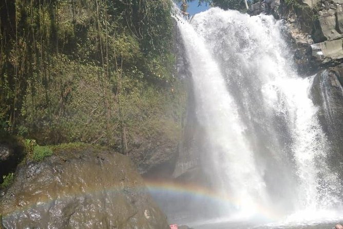 Bali Tour: Ubud Most Popular Place - Transportation Arrangements
