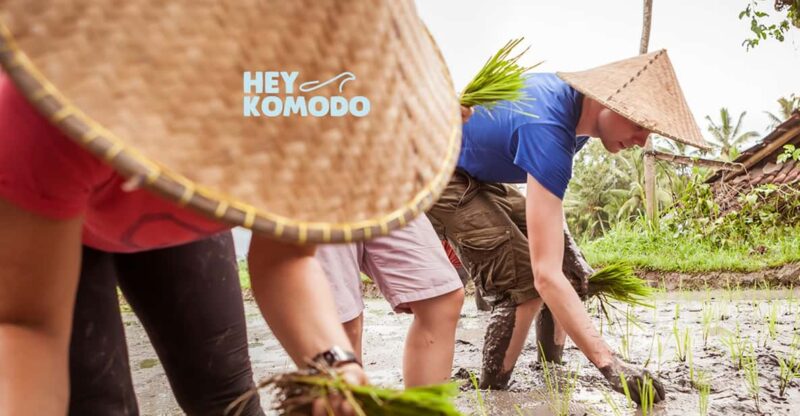 Bali Traditional Daily Life & Farming Tour With Lunch - Experience Highlights