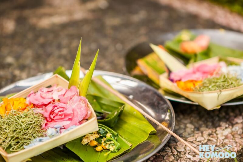Bali Traditional Daily Life & Farming Tour With Lunch - Daily Life and Farming