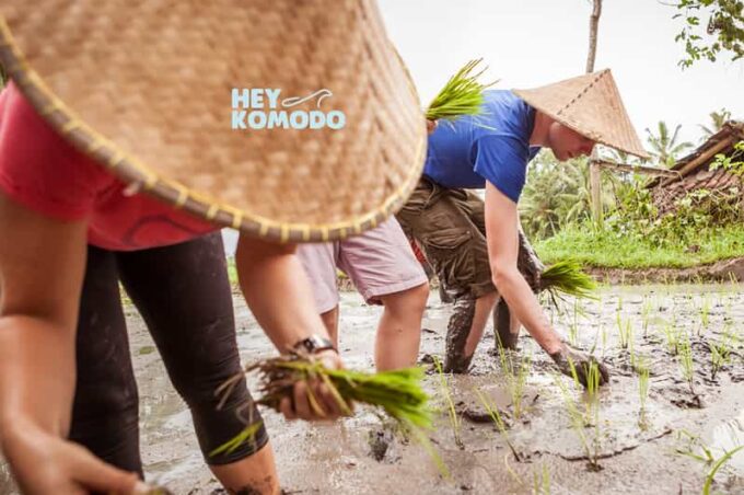 Bali Traditional Daily Life & Farming Tour With Lunch - Inclusions and Exclusions