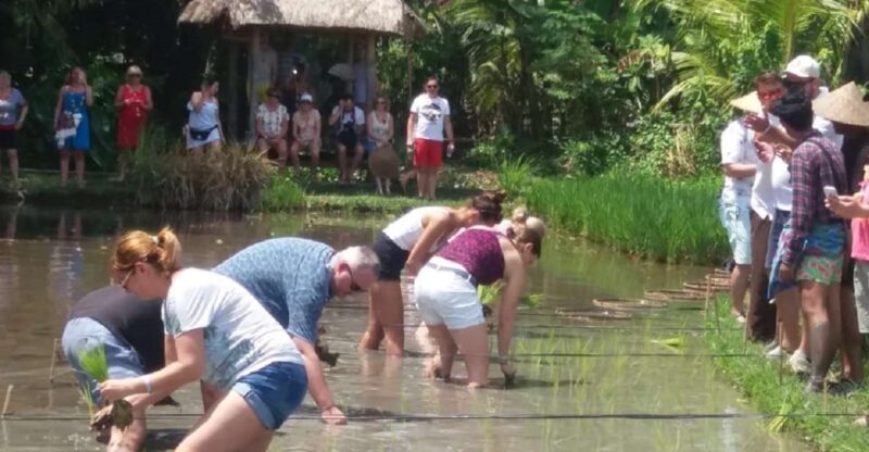 Bali: Traditional Village Life Tour - Key Points