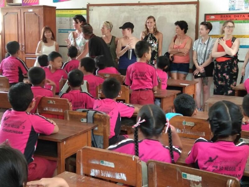Bali: Traditional Village Life Tour - Inclusions and Experience
