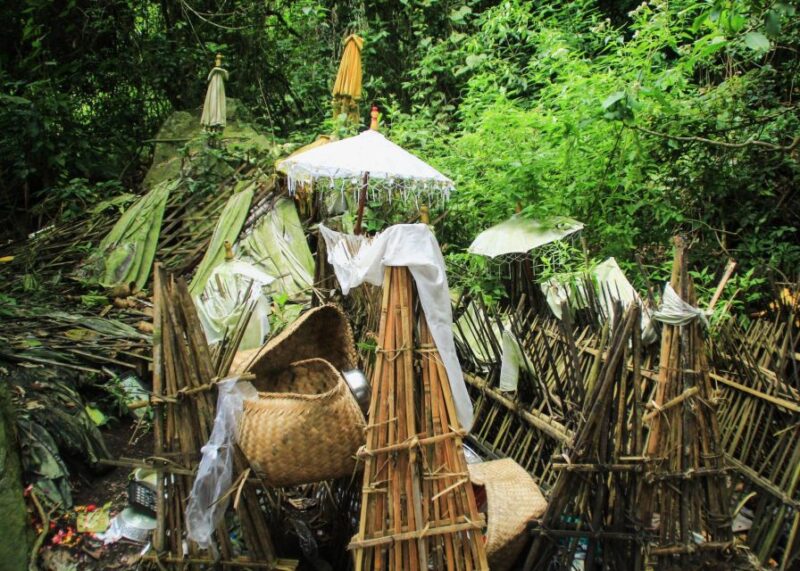 Bali: Trunyan Cemetery, Hot Springs, and Penglipuran Village - Experience and Activities