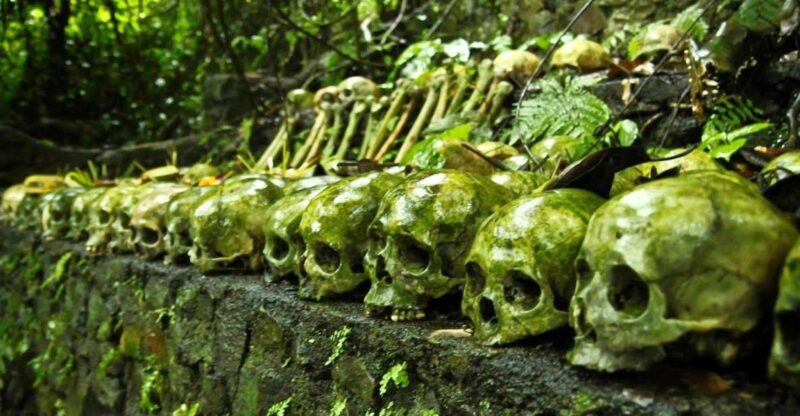 Bali: Trunyan Cemetery, Hot Springs, and Penglipuran Village - Pricing and Cancellation