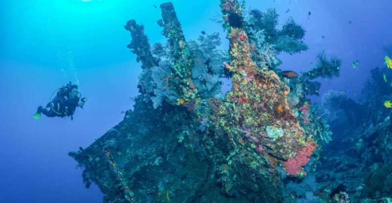 Bali: Tulamben Bay and the USAT Liberty Wreck Dive - Tulamben Bays Underwater Wonders