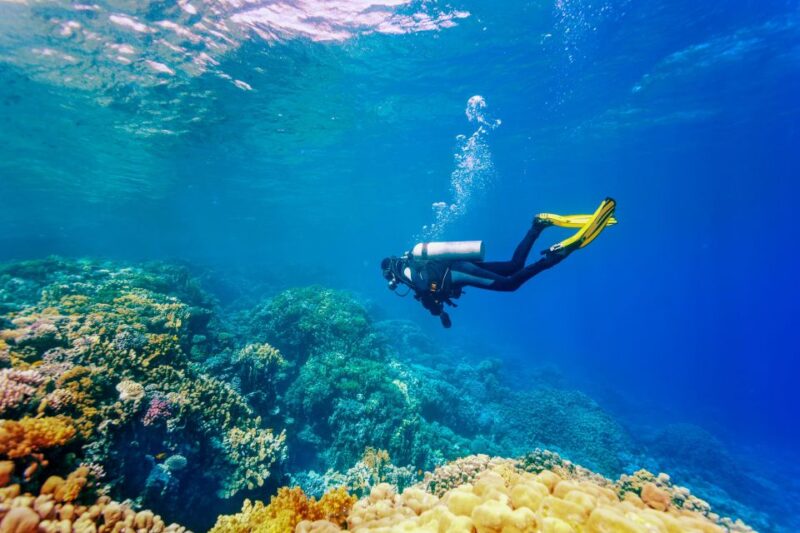 Bali: Tulamben Bay Beginners Dive Experience - Dive Experience Details