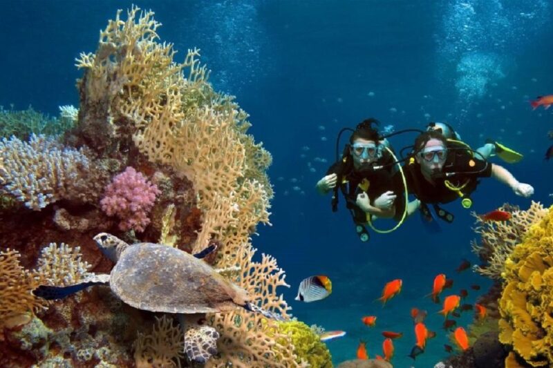 Bali : Tulamben Diving USAT Liberty Full Day With Transfer - Participant Restrictions