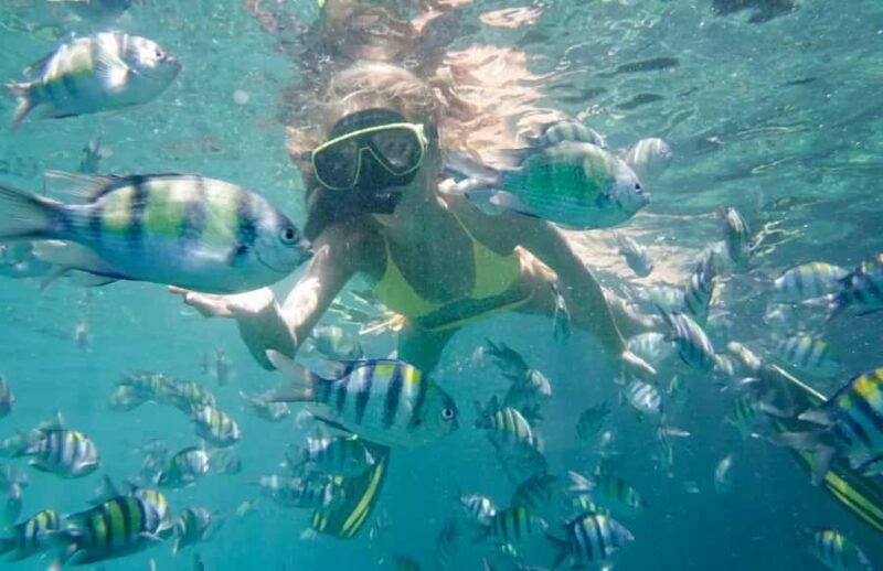 Bali Tulamben: Liberty Shipwreck Snorkeling & Kayak Day Trip - What You Can Expect from the Tour
