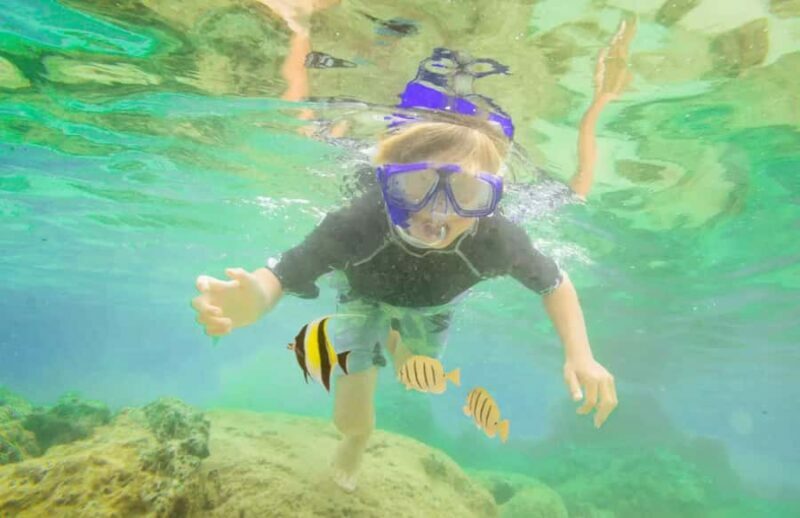 Bali Tulamben: Liberty Shipwreck Snorkeling & Kayak Day Trip - The Sum Up: Is This Tour Worth It?