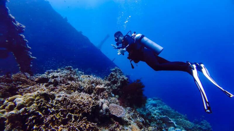 Bali: Tulamben Liberty Wreck Dive & Amed Kayak Trip - Final Thoughts