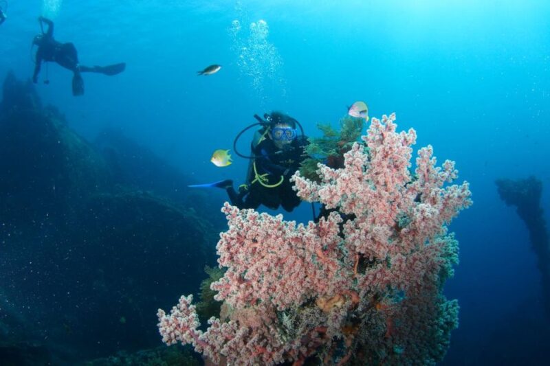 Bali: Tulamben USAT Liberty Wreck Scuba Diving - Inclusions and Exclusions