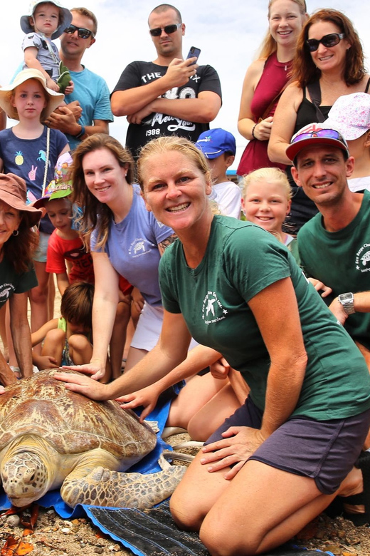 Bali: Turtle Conservation and Education Tour & Local Market - Key Points