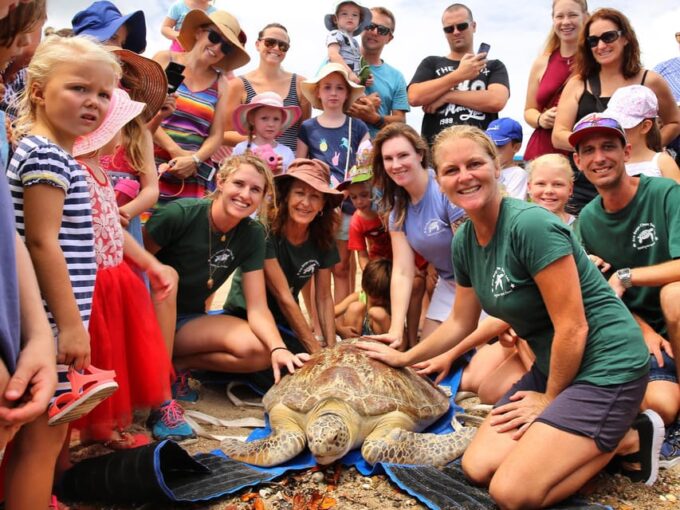 Bali: Turtle Conservation and Education Tour & Local Market - Important Visitor Details