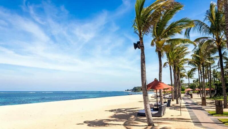 Bali: Turtle Conservation, Beach and Uluwatu Tour - Key Points