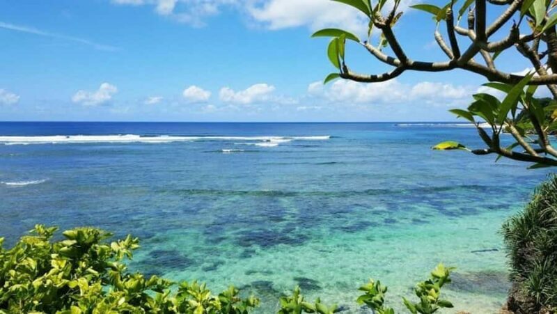 Bali: Turtle Conservation, Beach and Uluwatu Tour - Introduction