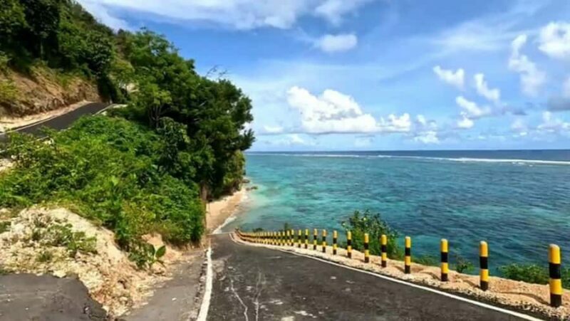 Bali: Turtle Conservation, Beach and Uluwatu Tour - Price and Value Analysis