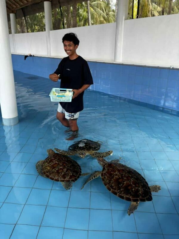 Bali: Turtle Conservation Visit & Island Land Tour - Authentic Experiences and Highlights