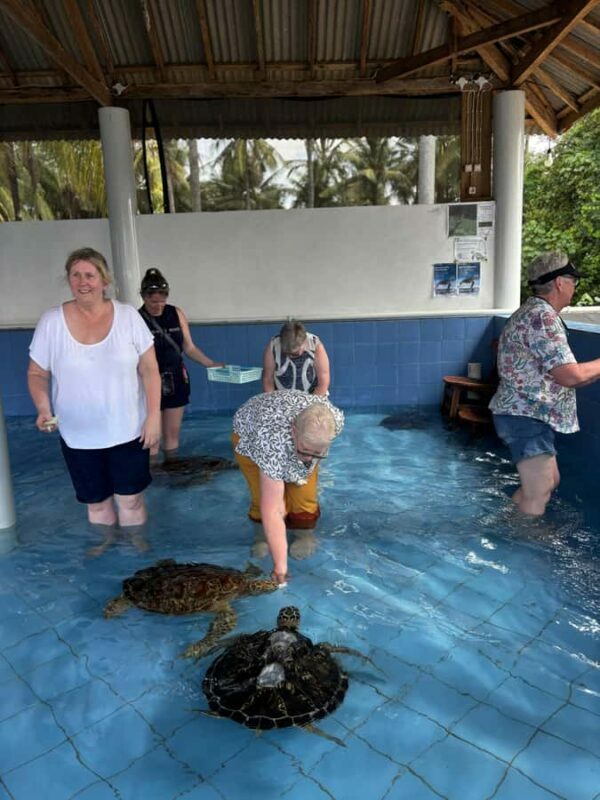 Bali: Turtle Conservation Visit & Island Land Tour - Final Thoughts: Is It Worth It?