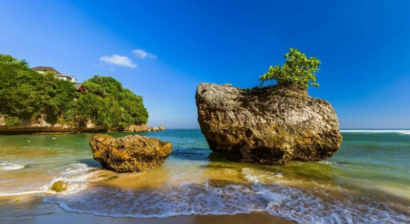 Bali: Turtle Island, Melasti Beach, Uluwatu & Jimbaran Tour - The Sum Up
