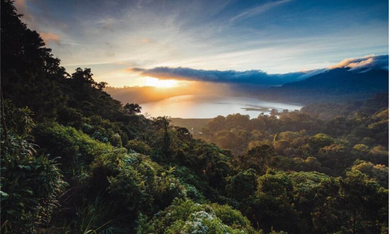 Bali: Twin Lakes, Handara Gates, and Forest Trekking Tour - Sunrise Viewing and Forest Trek