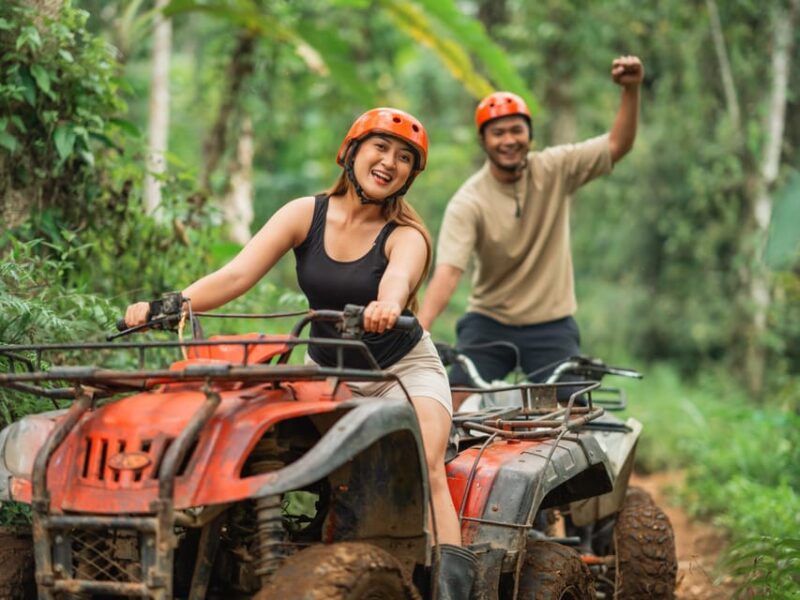 Bali: Ubud Adventure, Swing, Monkey Forest & Waterfall Tour. - Itinerary Highlights