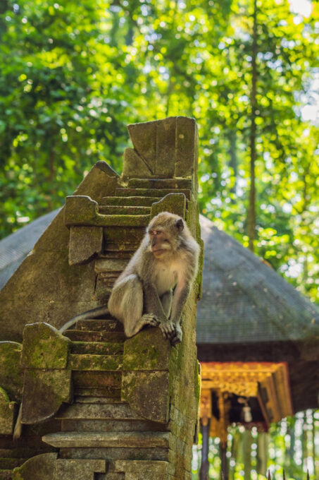 Bali: Ubud Adventure, Swing, Monkey Forest & Waterfall Tour. - Tegenungan Waterfall