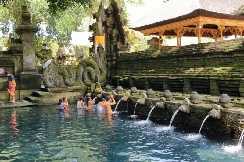 Bali: Ubud and Kintamani Viewpoint Opt. Swing & Buffet Lunch - Important Information