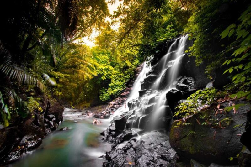 Bali: Ubud and Tanah Lot Small Group Guided Tour - Key Points
