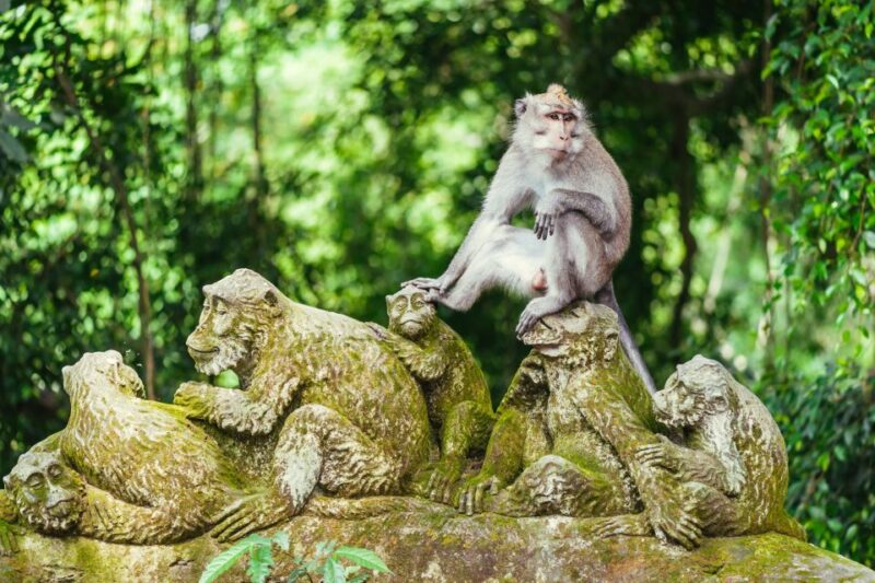 Bali: Ubud and Tanah Lot Small Group Guided Tour - Itinerary Highlights