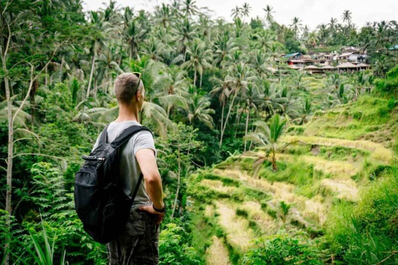 Bali: Ubud and Tanah Lot Small Group Guided Tour - Customer Reviews
