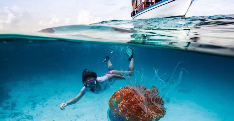Bali: Ubud ATV and Blue Lagoon Snorkeling Tour With Lunch - Key Points