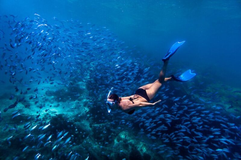 Bali: Ubud ATV and Blue Lagoon Snorkeling Tour With Lunch - Itinerary and Activities