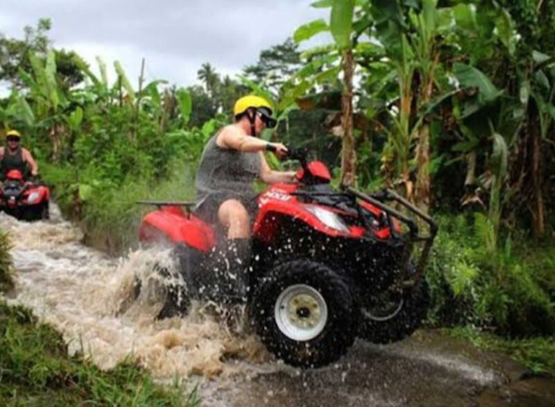 Bali: Ubud ATV and Blue Lagoon Snorkeling Tour With Lunch - Customer Reviews and Ratings