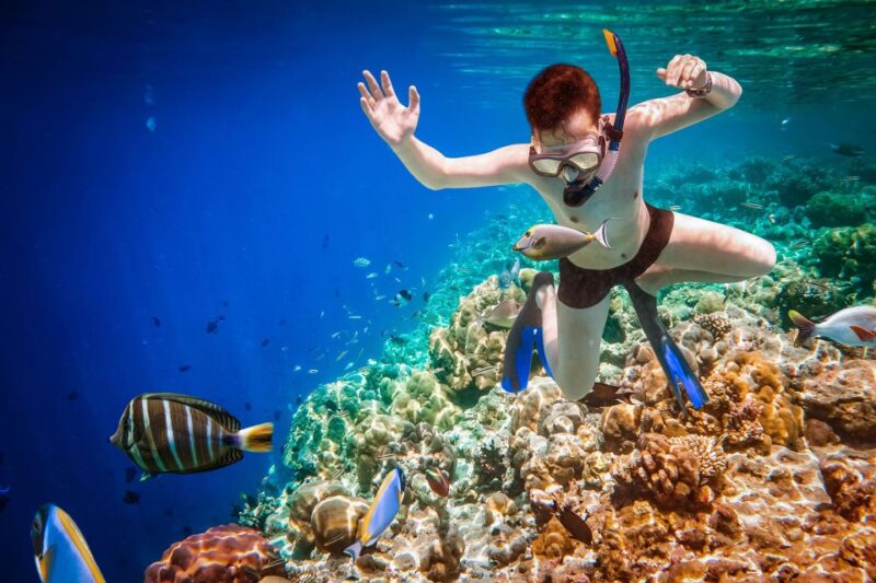 Bali: Ubud ATV and Blue Lagoon Snorkeling Tour With Lunch - Snorkeling at Blue Lagoon and Tanjung Jepun