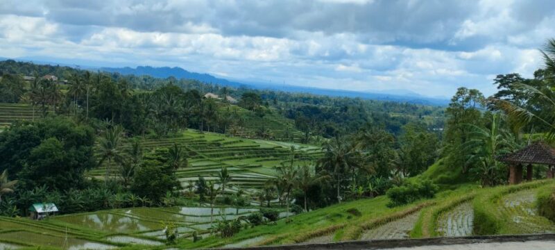 Bali: Ubud Costumize Tour With Private Driver - Tour Overview