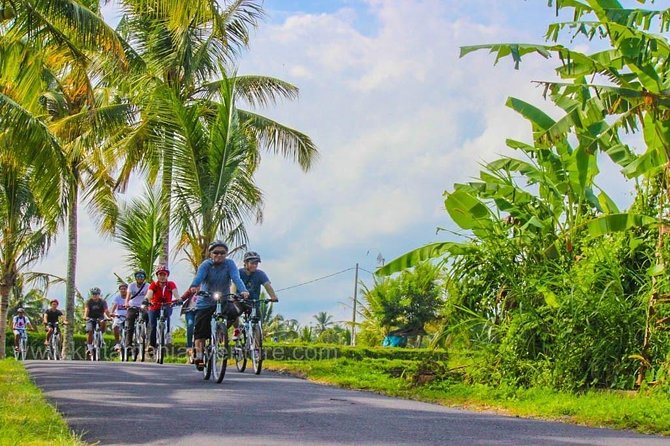Bali Ubud Countryside Cycling Tour Review - Booking Details