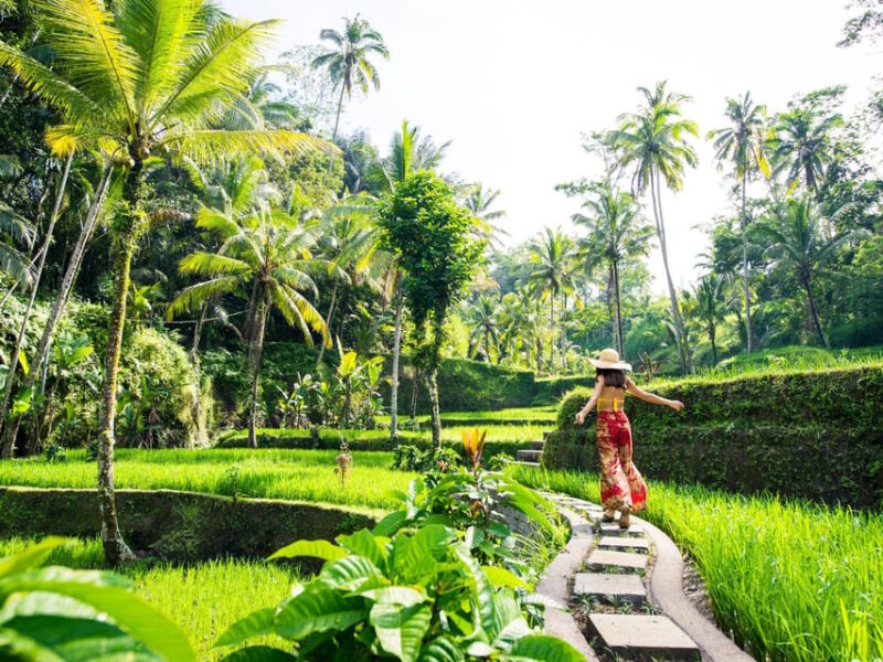 Bali: Ubud Countryside Ricefields & Waterfall Scooter Tour - Included Services and Requirements