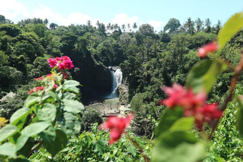 Bali : Ubud Customizable Private Car Tour With Driver - Itinerary Highlights
