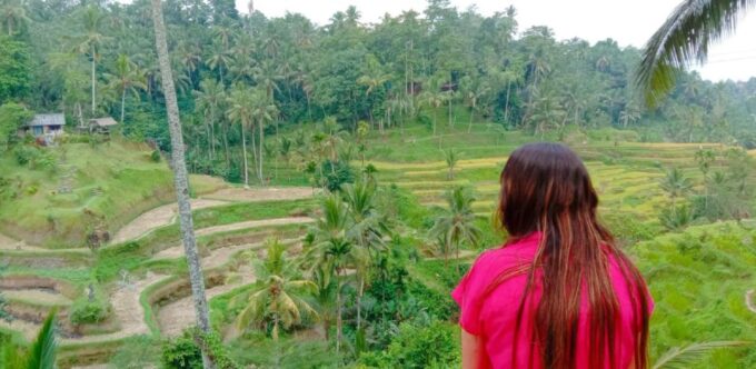 Bali : Ubud Customizable Private Car Tour With Driver - Customer Feedback
