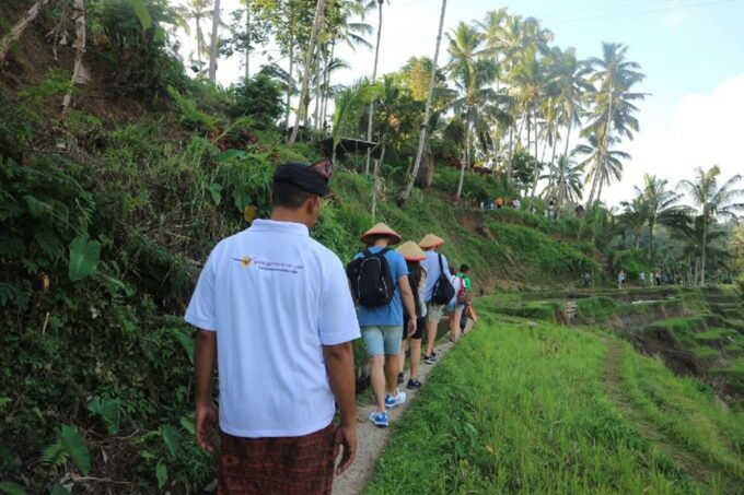 Bali : Ubud Customizable Private Car Tour With Driver - Frequently Asked Questions