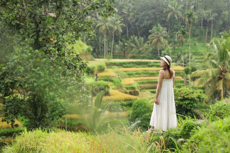 Bali: Ubud Day Tour With Personal Photographer - Local Coffee Plantation