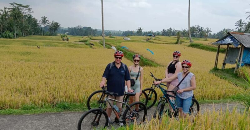 Bali: Ubud Downhill Cycling Tour With Transfer All-Inclusive - Itinerary and Experience
