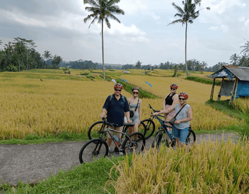 Bali: Ubud Downhill Cycling Tour With Transfer All-Inclusive - Tour Highlights