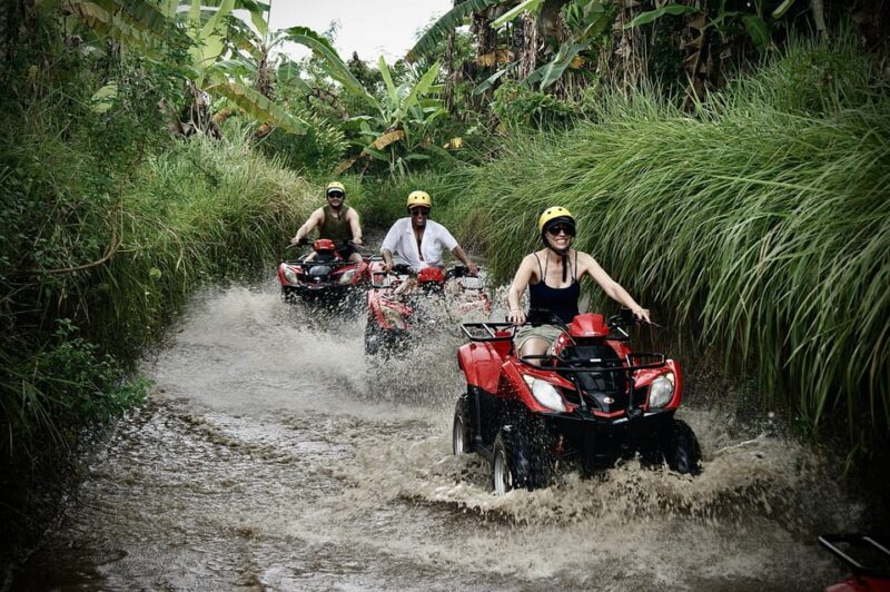 Bali: Ubud Gorilla Cave ATV Quad Bike - Experience Highlights