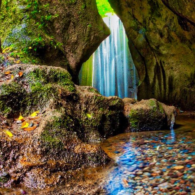 Bali: Ubud Highlights Private Tour With All Entrance Tickets - Key Points