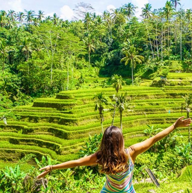 Bali: Ubud Highlights Private Tour With All Entrance Tickets - Itinerary and Activities