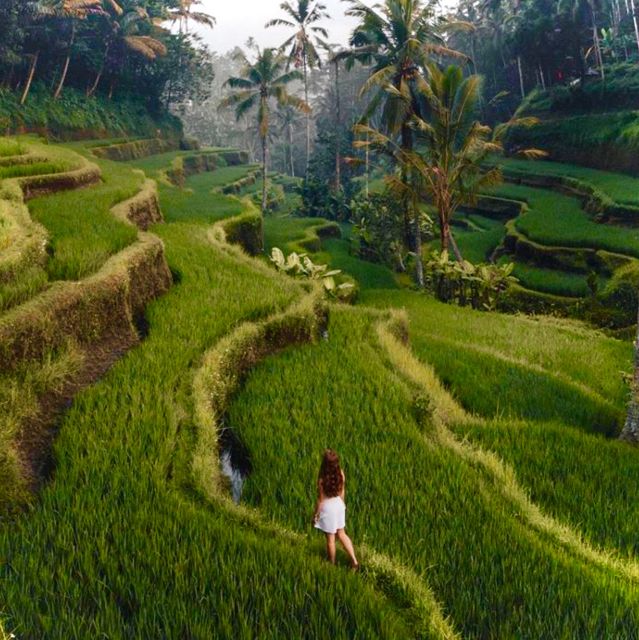 Bali: Ubud Highlights Private Tour With All Entrance Tickets - Pickup Locations