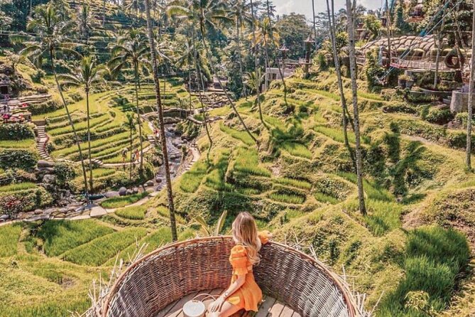 Bali: Ubud Highlights Tour With Private Guide and Transfers - Accessibility and Participation